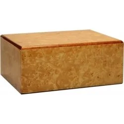 Humidor Guy Janot Root lesklý 35