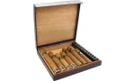 Cestovní humidor Bulldog by Dunhill 10 fialový