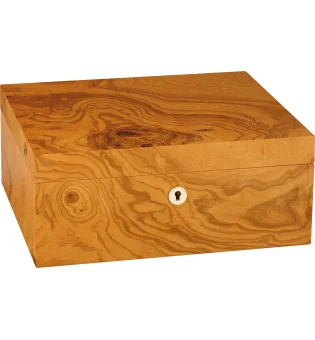adorini Humidor Salento Olive Burl Wood Medium Deluxe