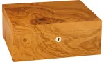 adorini Humidor Salento Olive Burl Wood Medium Deluxe